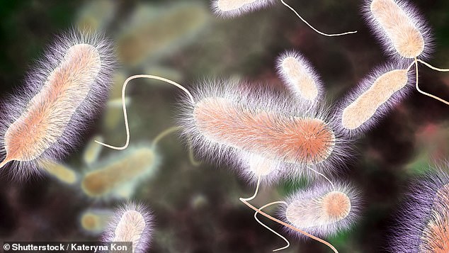Lethal Legionnaires' disease surges across US amid rising summer heat.