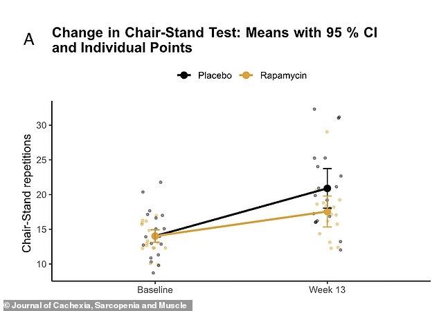 New Study Links Rapamycin to Reduced Muscle Building and Exercise Benefits