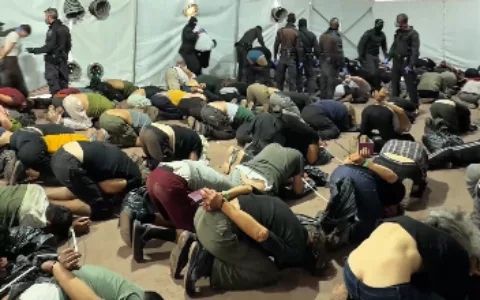 Hundreds of detained pro-Palestinian activists deported after severe abuse and humiliation in Israel.