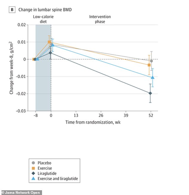 Experts Warn That Long-Term Weight Loss Drugs May Increase Fracture Risk
