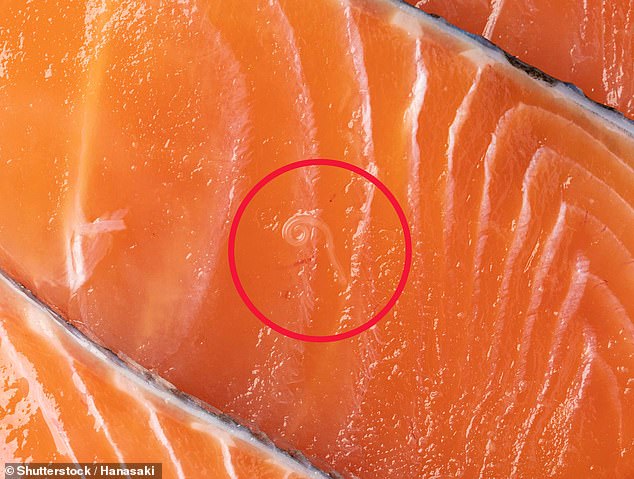 UK Salmon Market Risks: Parasites Hide in Britain's Top Fish Choice